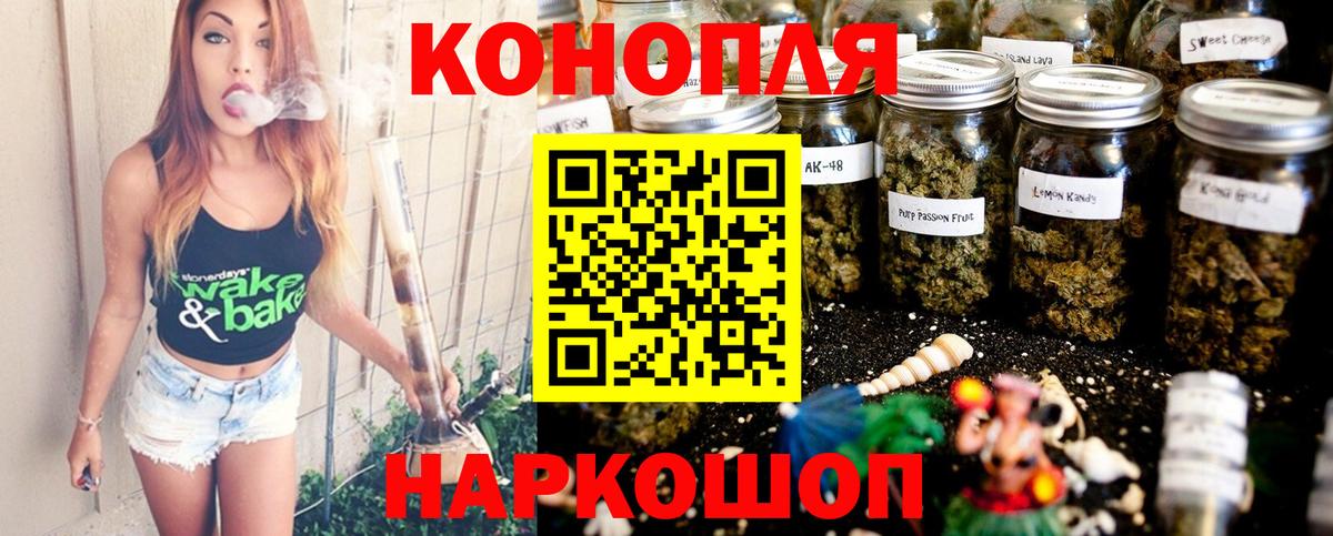 Бошки Шишки план Советский